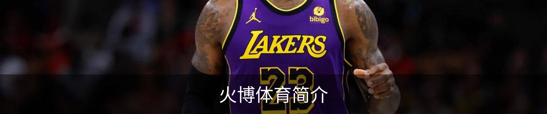 火博体育简介